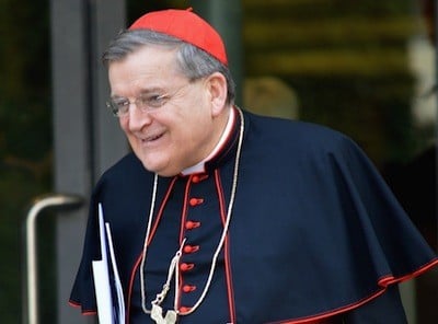 Cardinal Burke : La vérité sur la 14e assemblée ordinaire du Synode des évêques ? L'Homme Nouveau