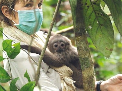 À la télévision : Le messager « Véronique Jannot sur la terre des gibbons » L'Homme Nouveau