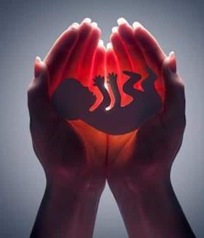 Au quotidien n°249 : avortement et communion, l’approche « pastorale » L'Homme Nouveau
