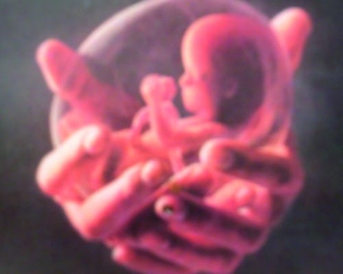 L'embryon humain est-il une personne au regard de la loi ? L'Homme Nouveau