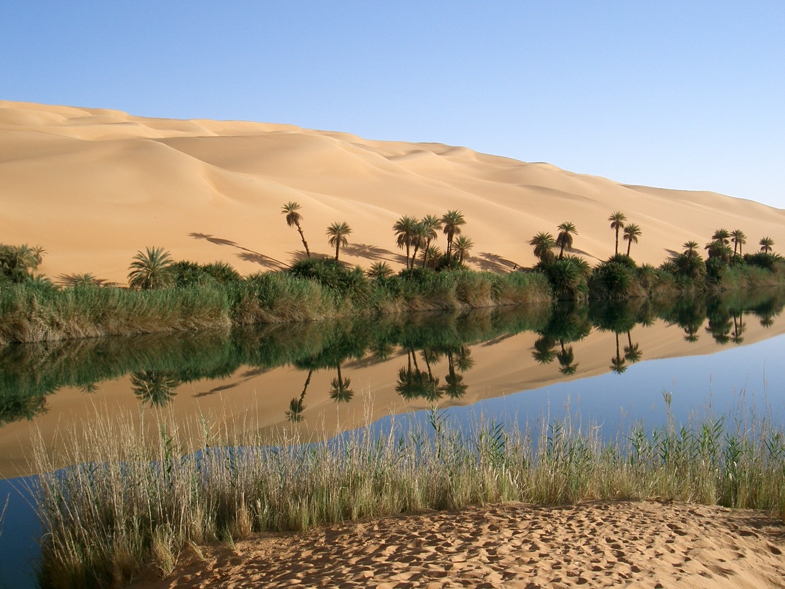 communauté oasis