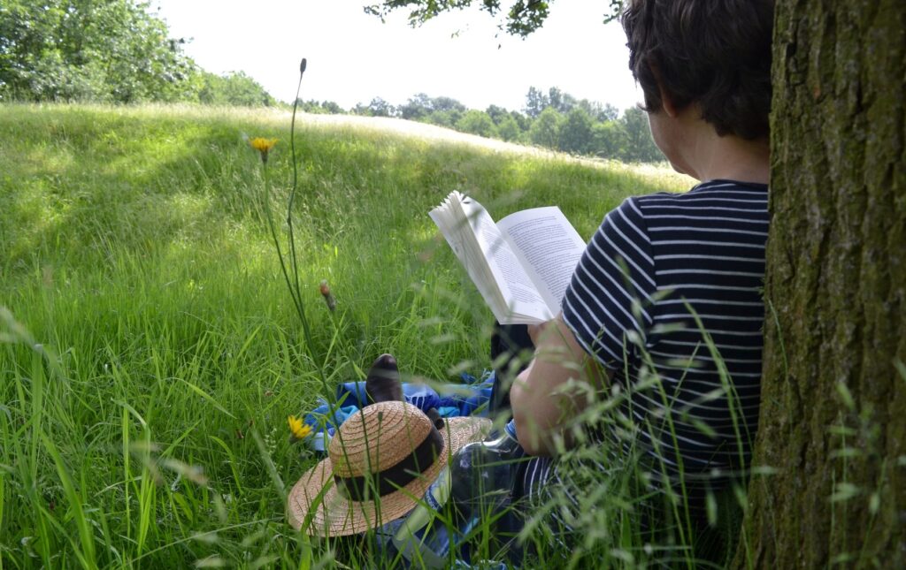 livre lecture lire