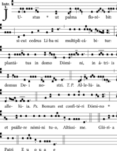 Justus ut palma Partition introït