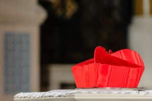 conclave cardinal burke