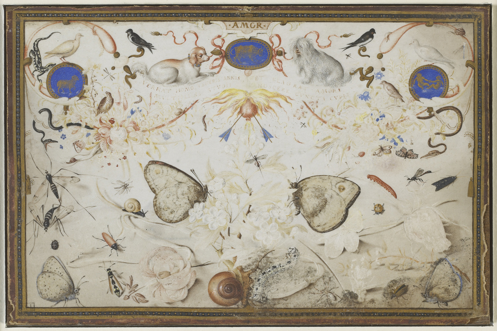Expo 1833 . Georg Hoefnagel Amor. Allegorie du Printemps © Musee du Louvre dist. RMN Grand Palais Martine Beck Coppola nature