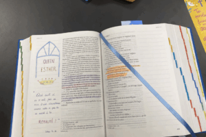 Capture decran 2025 11 26 a 11.03.48 bible