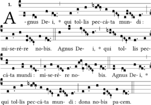 Agnus 13 Partition agnus