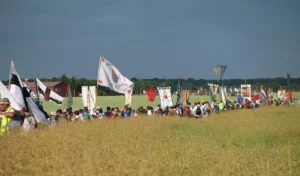 pèlerinage de Chartres notre-dame de chrétienté mission