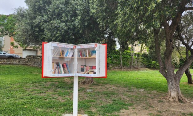 Boîte à livres (1/4) : La poésie de la trouvaille 