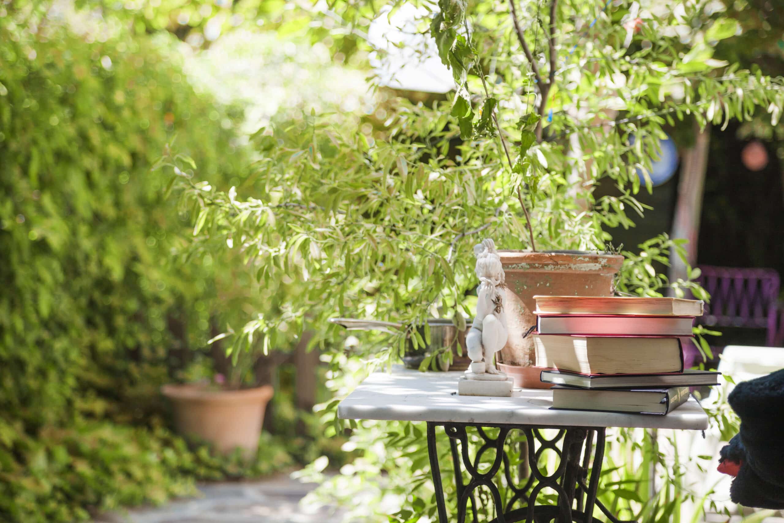 books-table-backyard vacances lire
