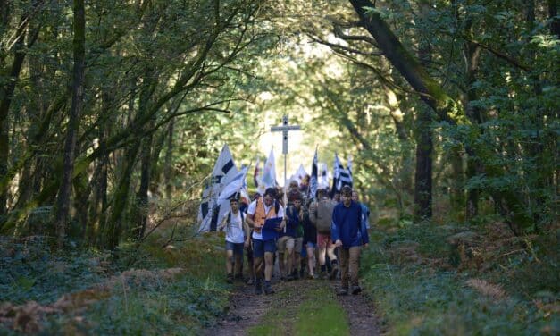 Pèlerinages régionaux (1/4) : Lorsque le « phénomène de Chartres » s’installe dans les régions de France