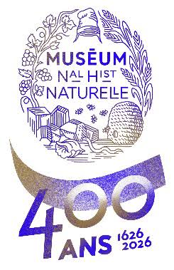 images muséum